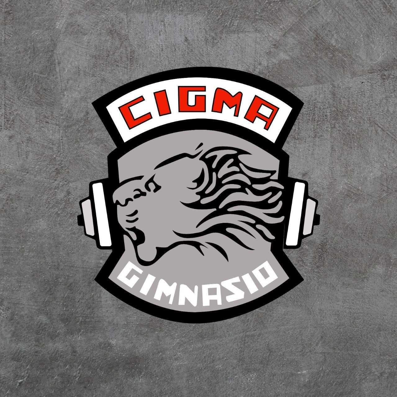 Gimnasio Cigma