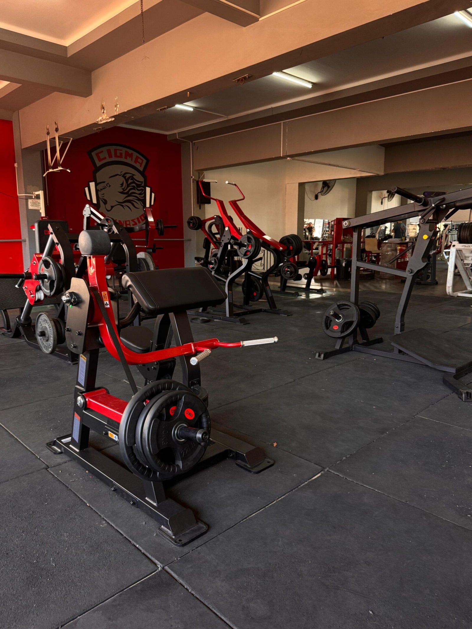 cca1745c-6d7e-4fe8-8cd7-acbfff43c32a