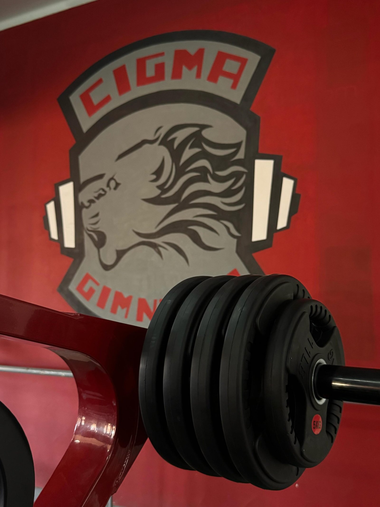 dc5c36c6-8065-48f5-8f05-aff70bb3c4a3